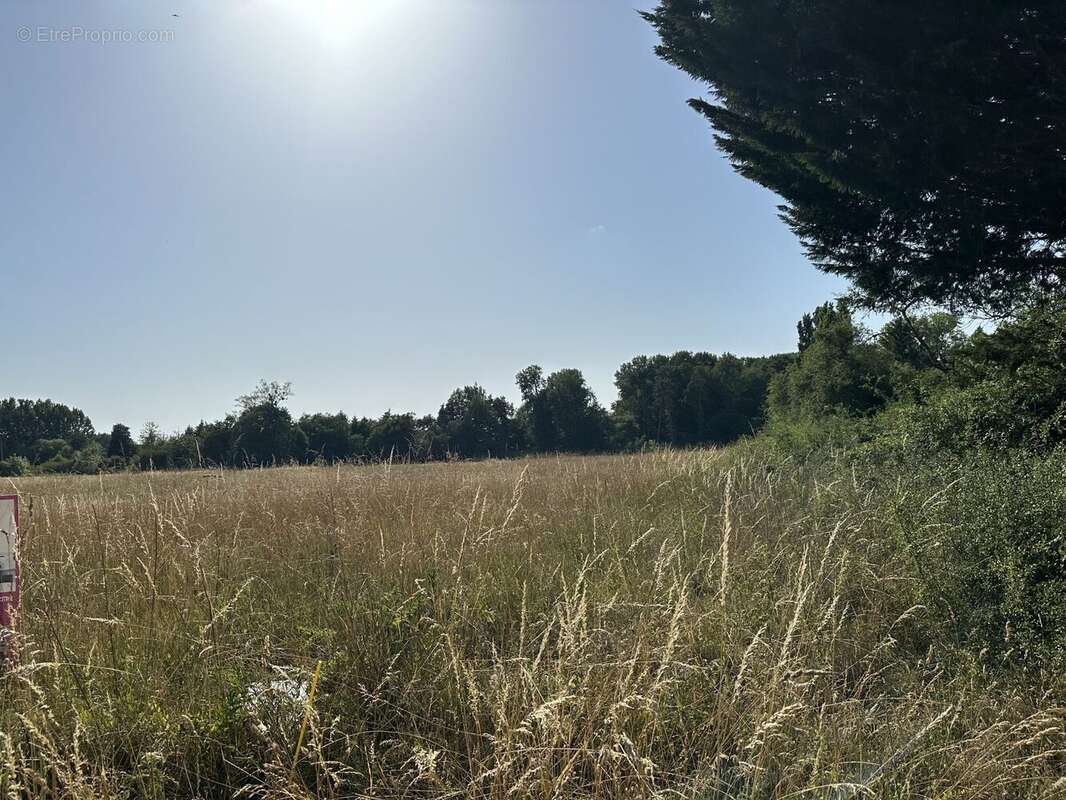 Terrain à LA COUR-MARIGNY