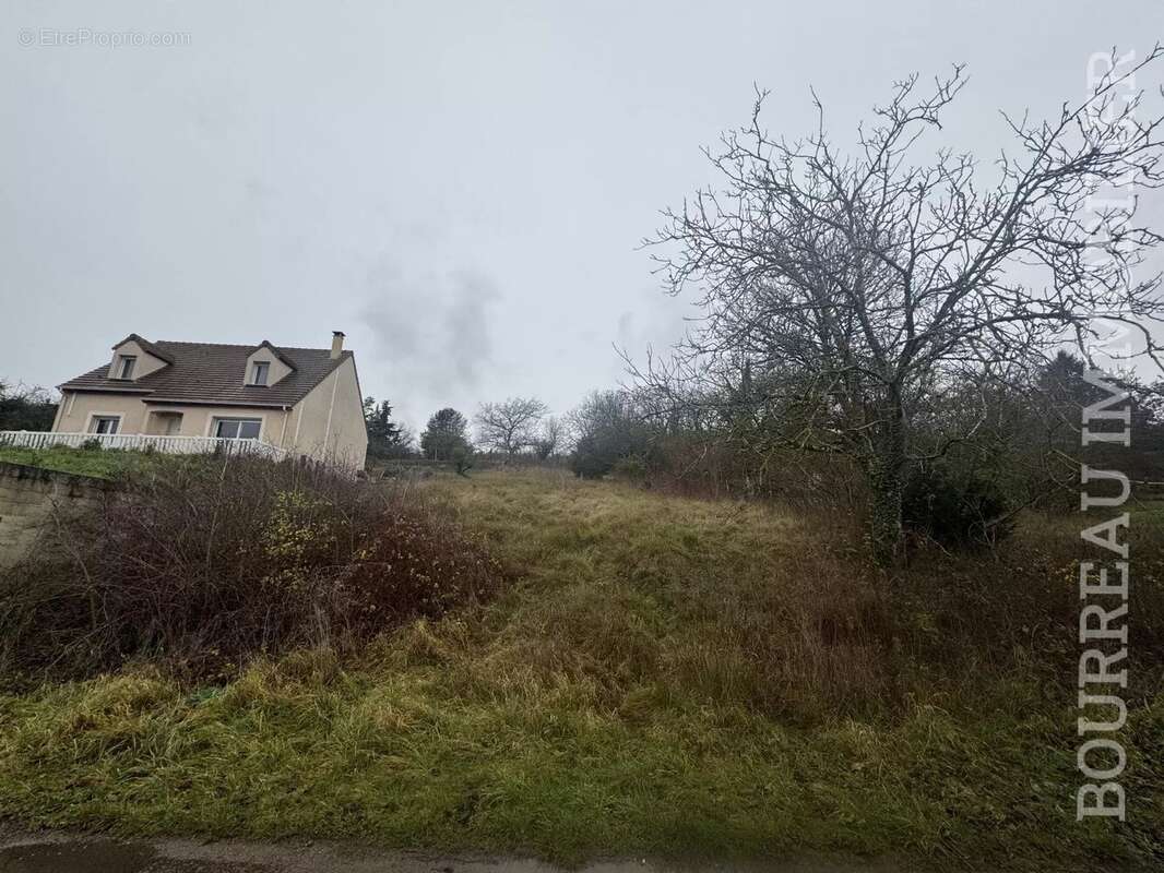 Terrain à VILLECIEN