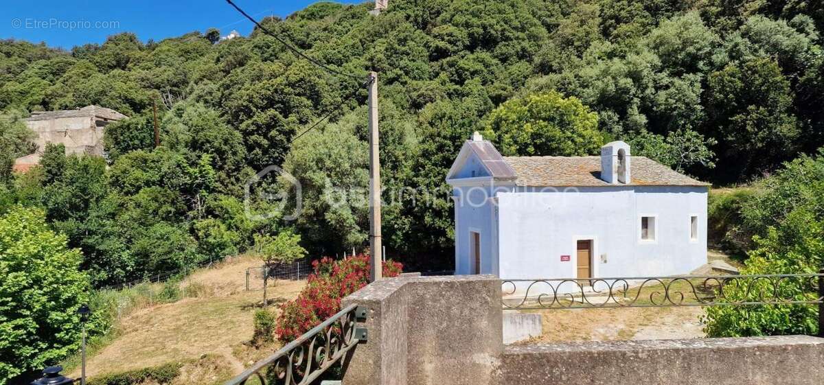 Maison de village Cap Corse - photo 18