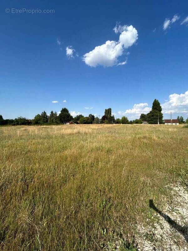 Terrain à LA COUR-MARIGNY