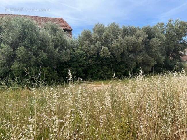 Terrain à PLAN-DE-CUQUES