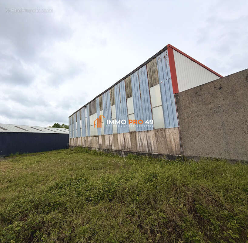 Commerce 900 m² à Cholet  - photo 3