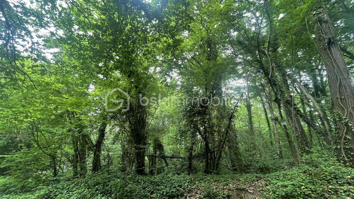 Terrain à ULLY-SAINT-GEORGES