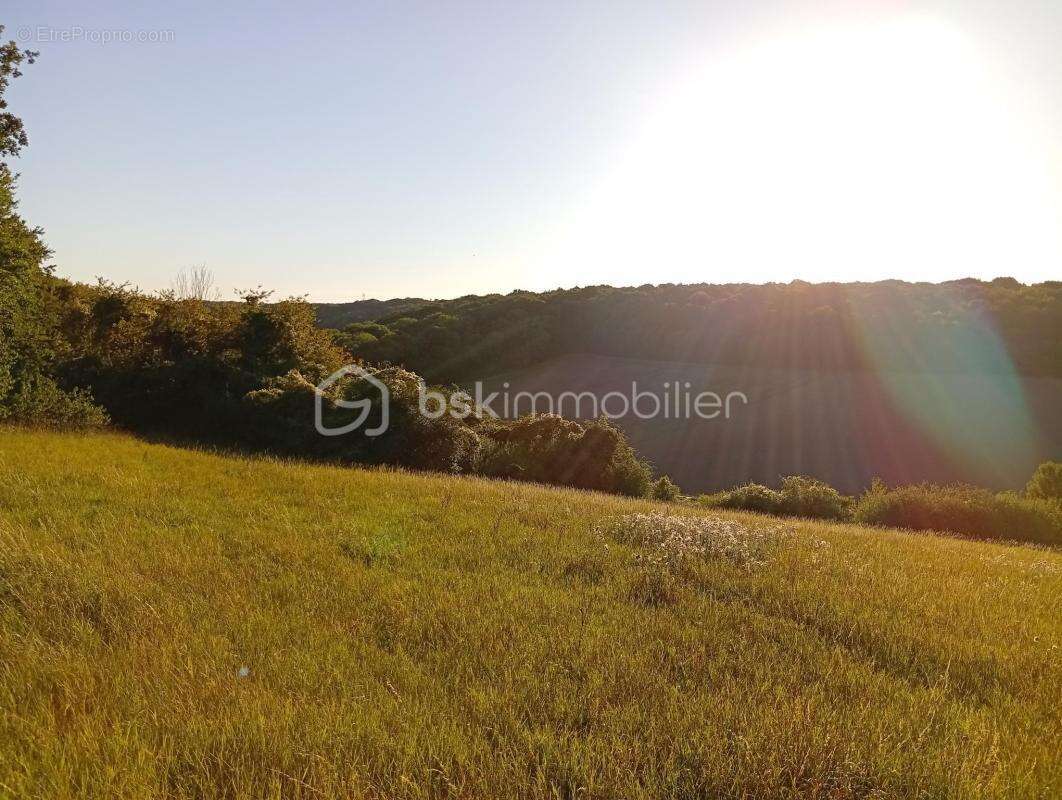 Terrain à SAINTE-GENEVIEVE