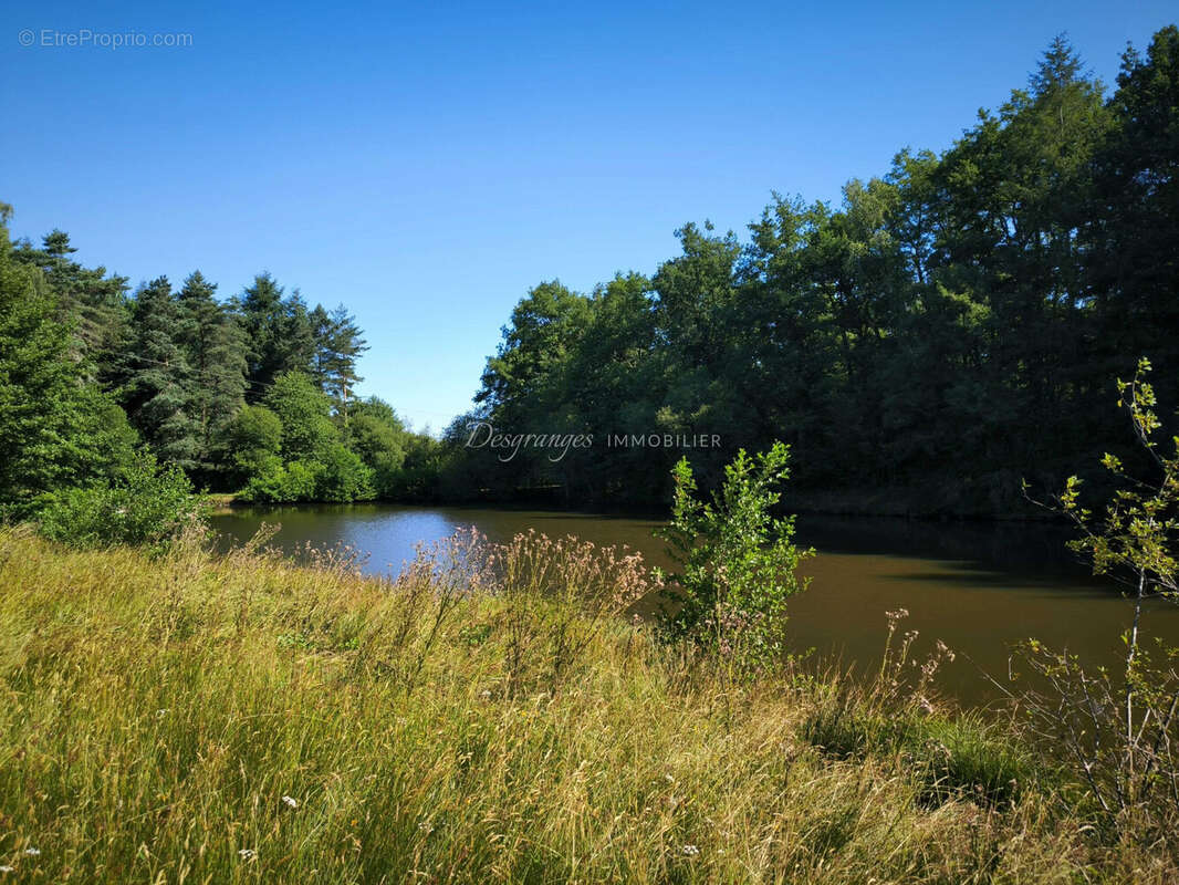 Terrain à SAINT-YRIEIX-LA-PERCHE