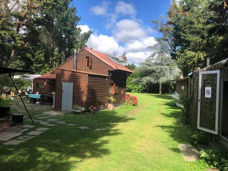 Terrain à TALMONT-SAINT-HILAIRE