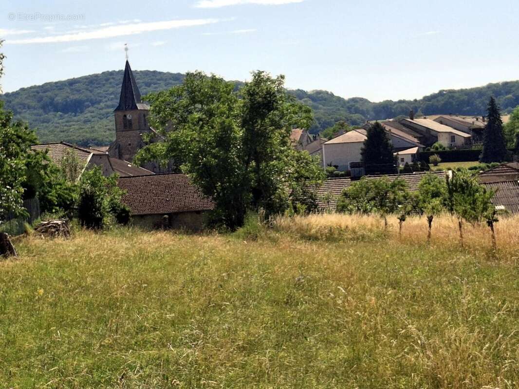 À vendre – Projet de rénovation dans les Vosges (Grand Est) - photo 23