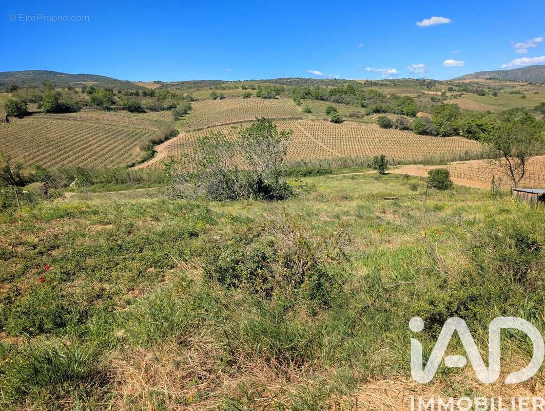 Photo 3 - Terrain à MONTNER