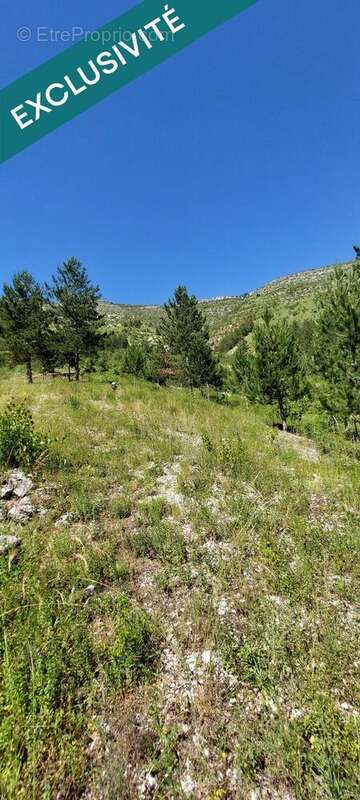 Terrain 3265 m² à Les Vignes  - photo 4