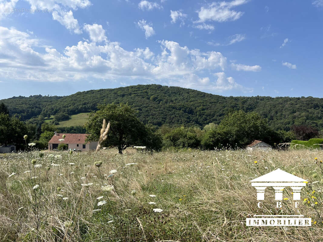Terrain à SAINT-SERNIN-DU-BOIS