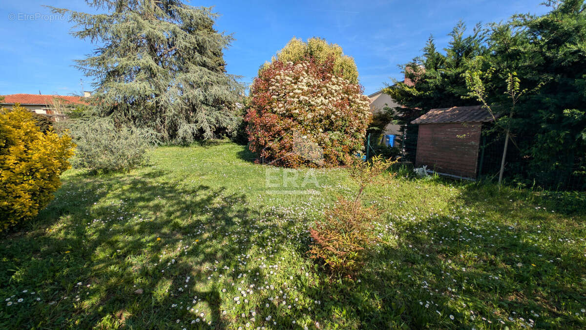 Terrain à AUCAMVILLE