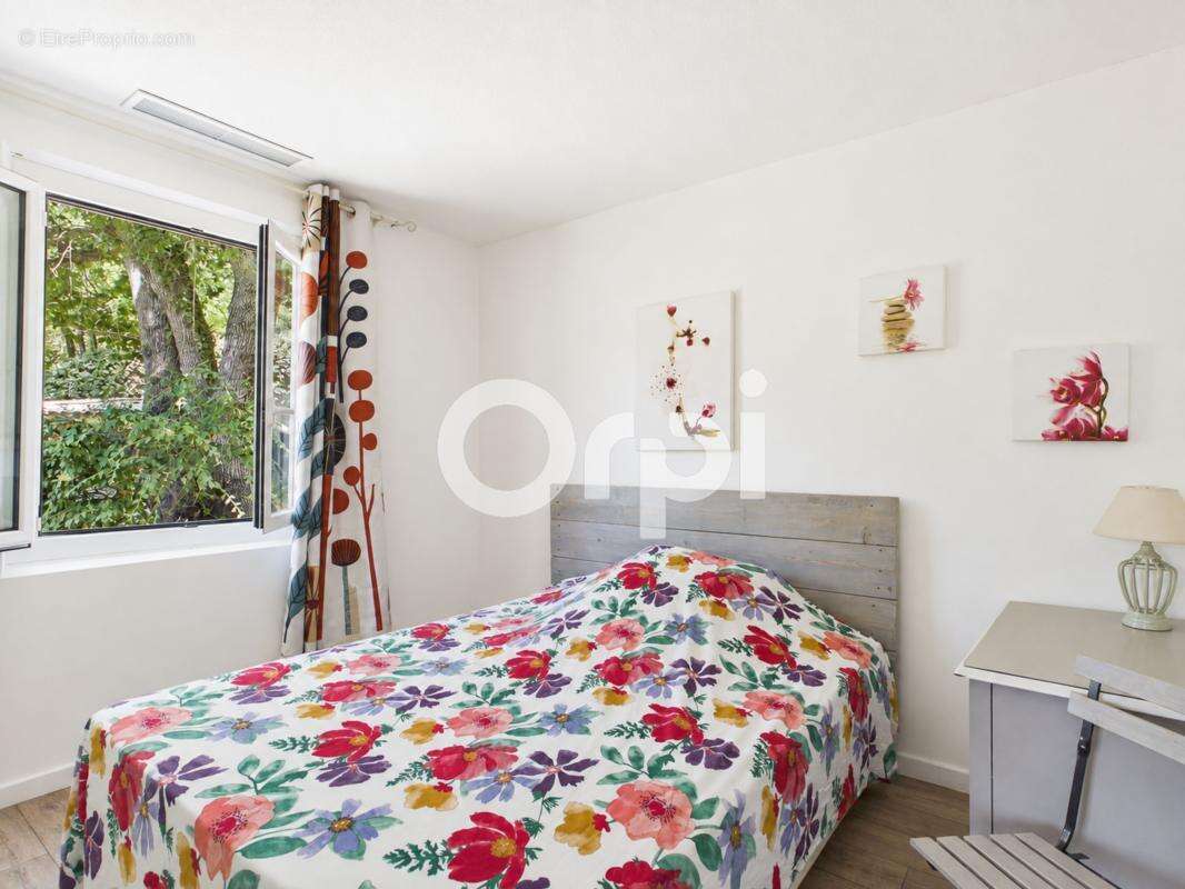 Piscine -calme -garage -plain pied -environnement - photo 10