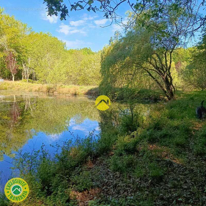 Étangs en pleine nature - photo 13