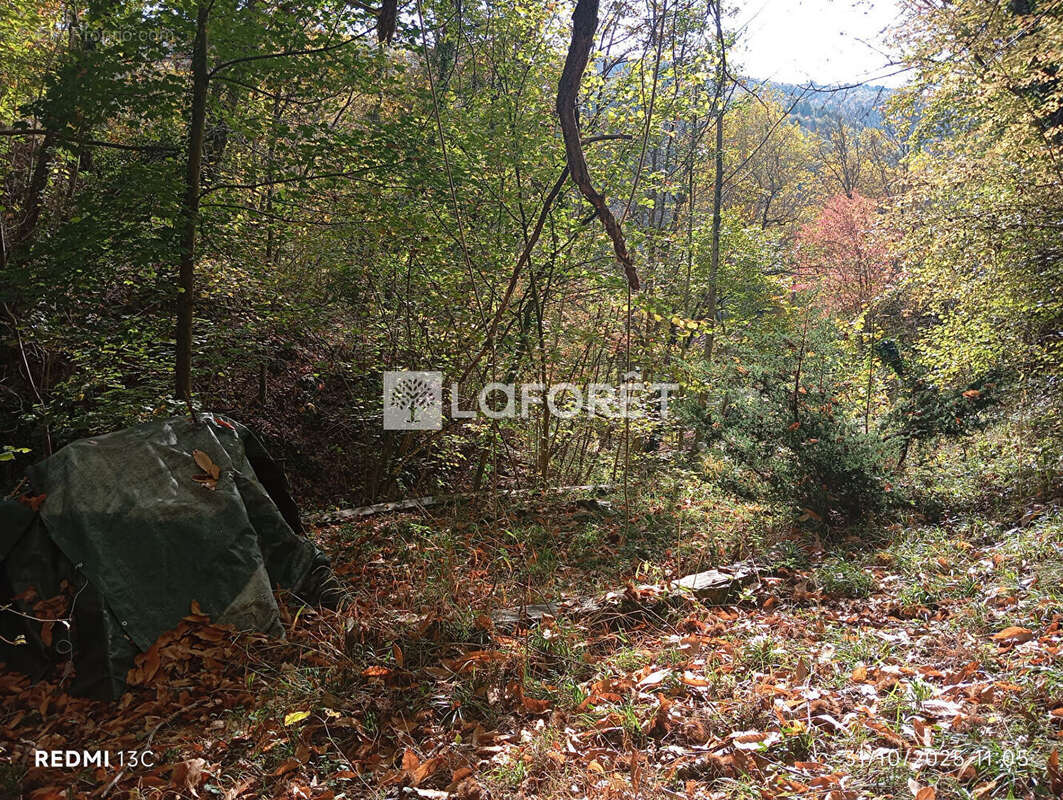 Maison à PRATS-DE-MOLLO-LA-PRESTE