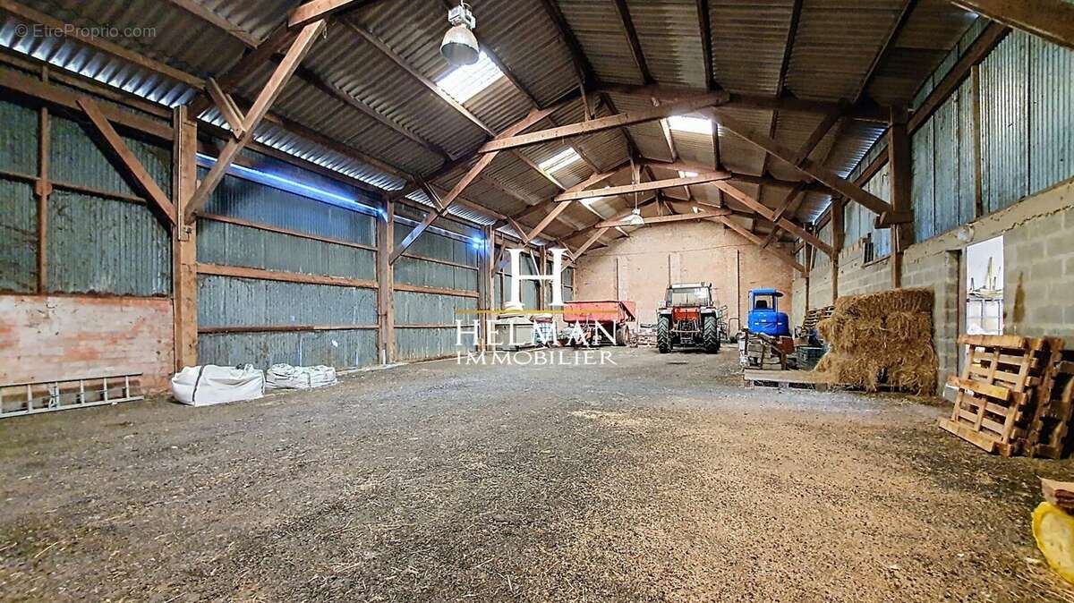 Maison à BUYSSCHEURE