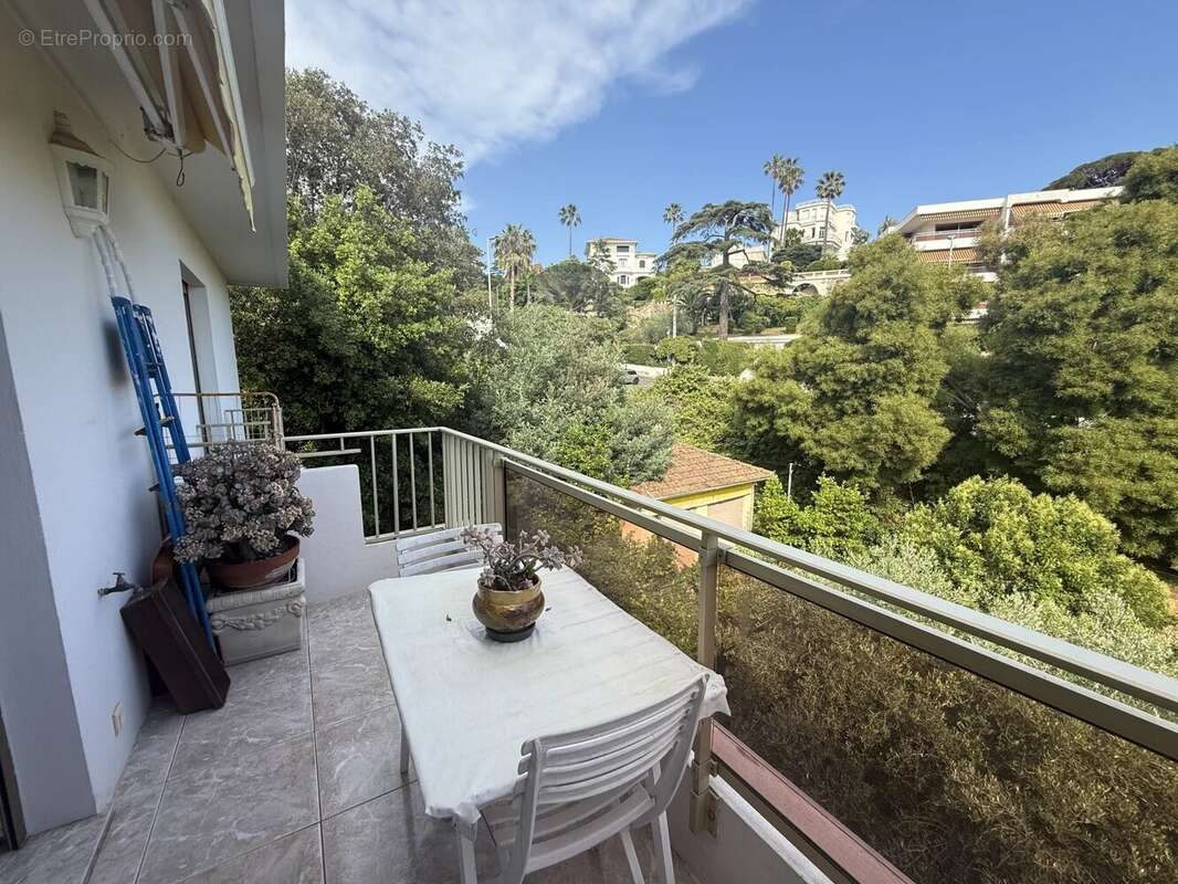 Dernier étage lumineux et traversant avec vue verdure – Basse Californie - photo 8