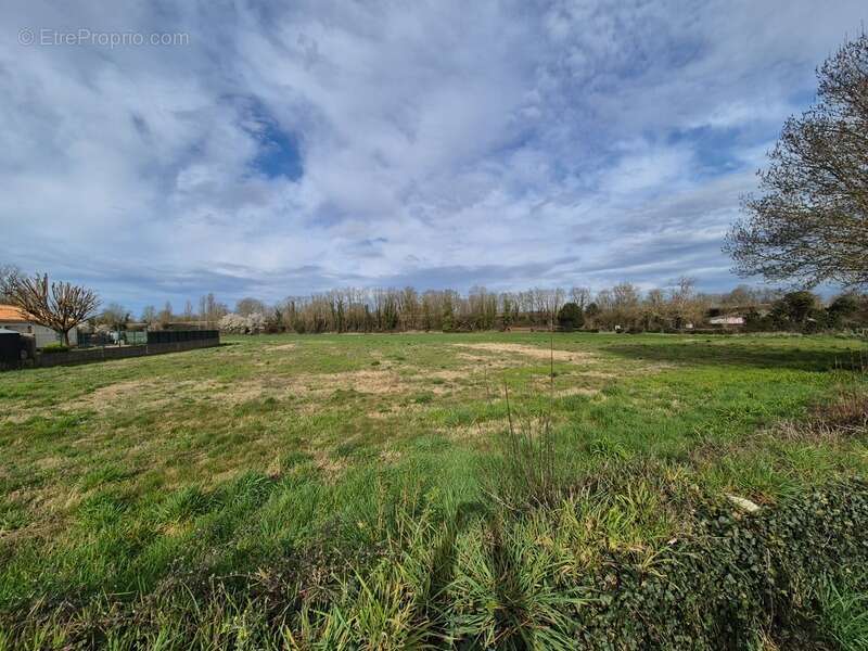 Terrain à FRONTENAY-ROHAN-ROHAN