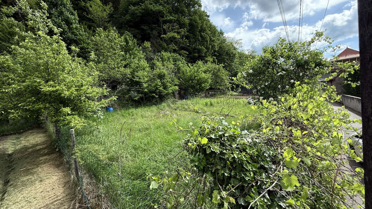 Terrain à RAON-L&#039;ETAPE