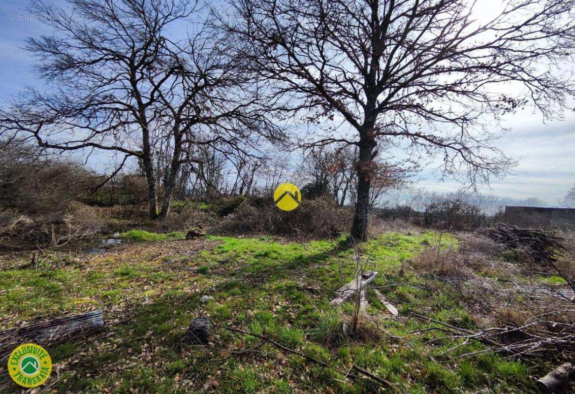 Terrain à JOUET-SUR-L&#039;AUBOIS