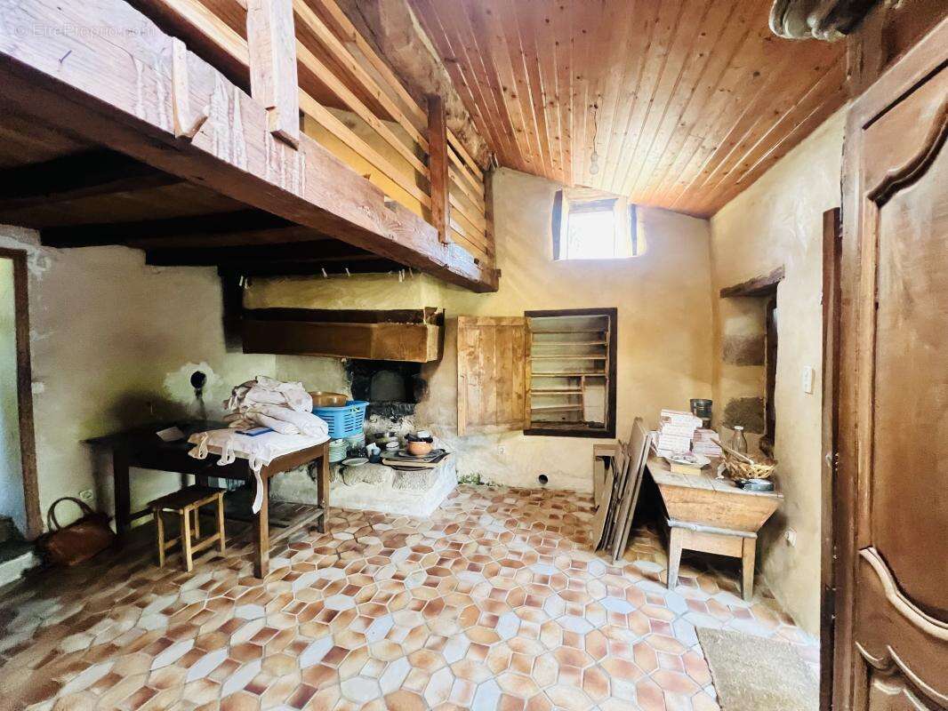 Maison 450 m² à Mezieres-Sur-Issoire  - photo 5