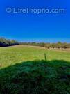 Terrain à THIVIERS