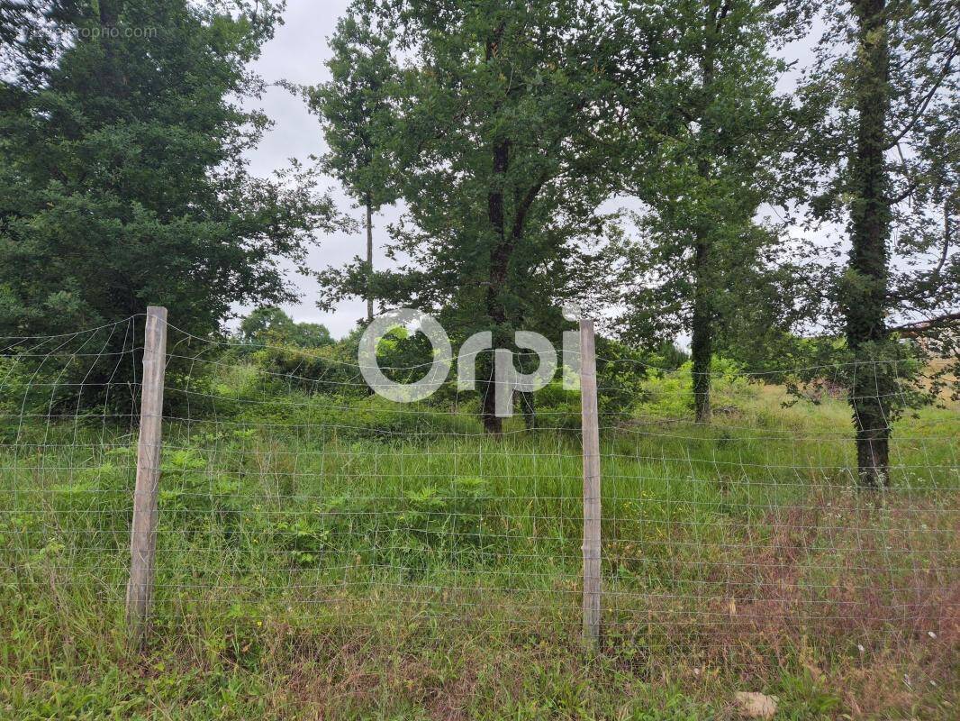 Terrain à TRELISSAC