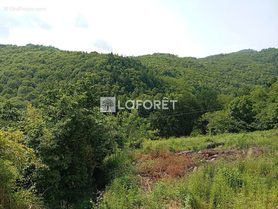 Maison à SERRALONGUE