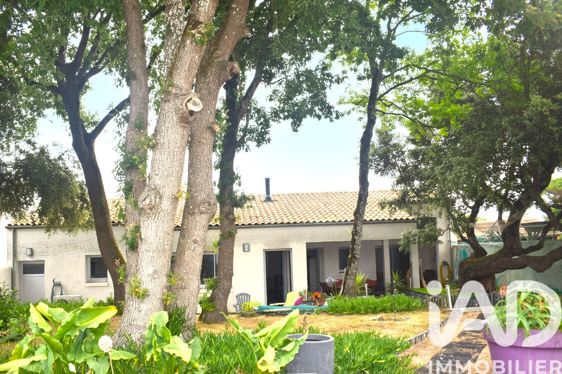 Photo 3 - Maison à SAINT-PIERRE-D&#039;OLERON