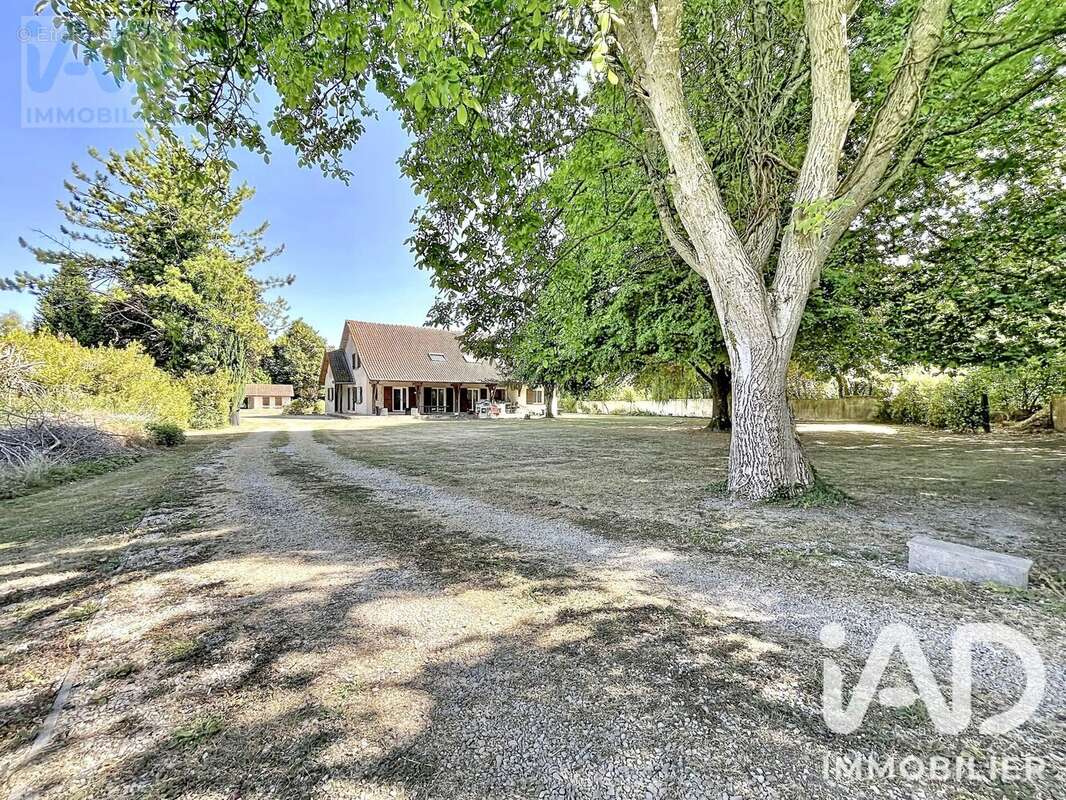 Maison 270 m² à Courtisols  - photo 5