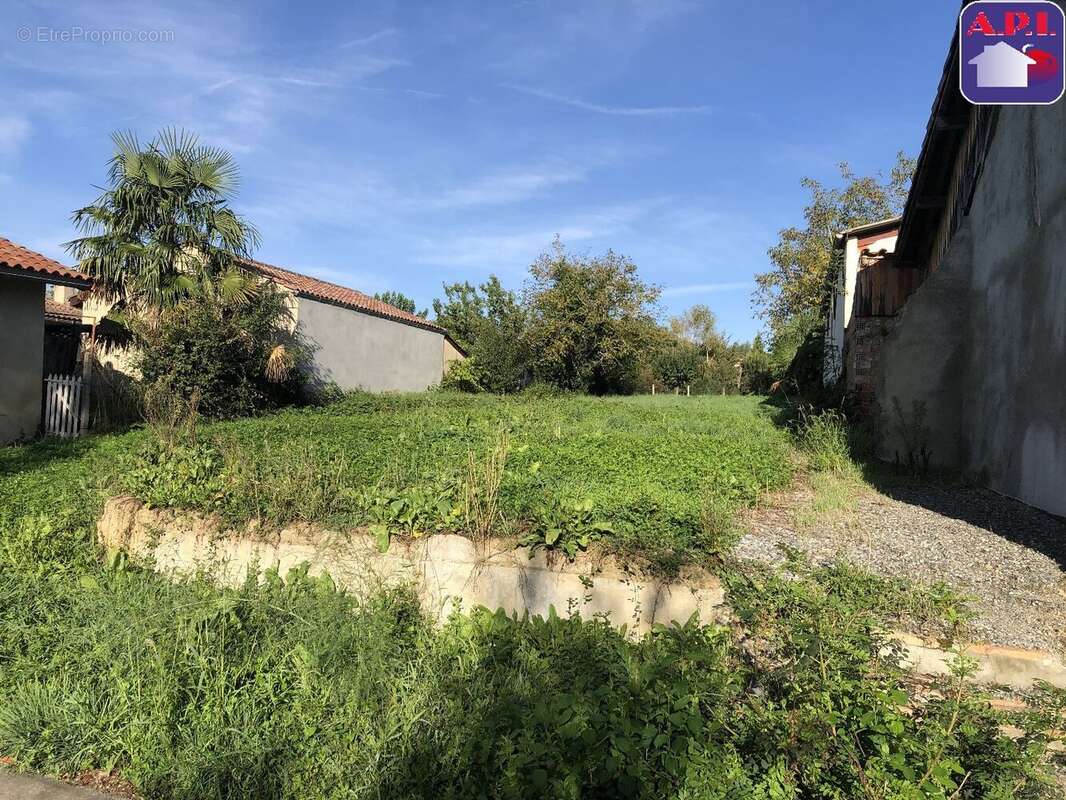 Terrain à L&#039;ISLE-EN-DODON