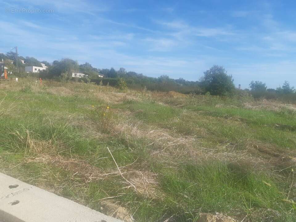 Terrain à CASTELGINEST