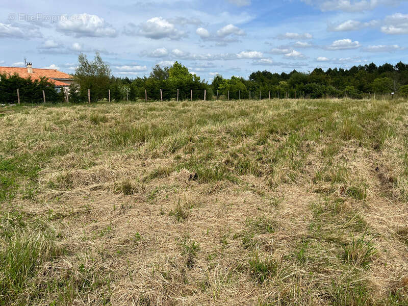 Terrain à LE FOUILLOUX