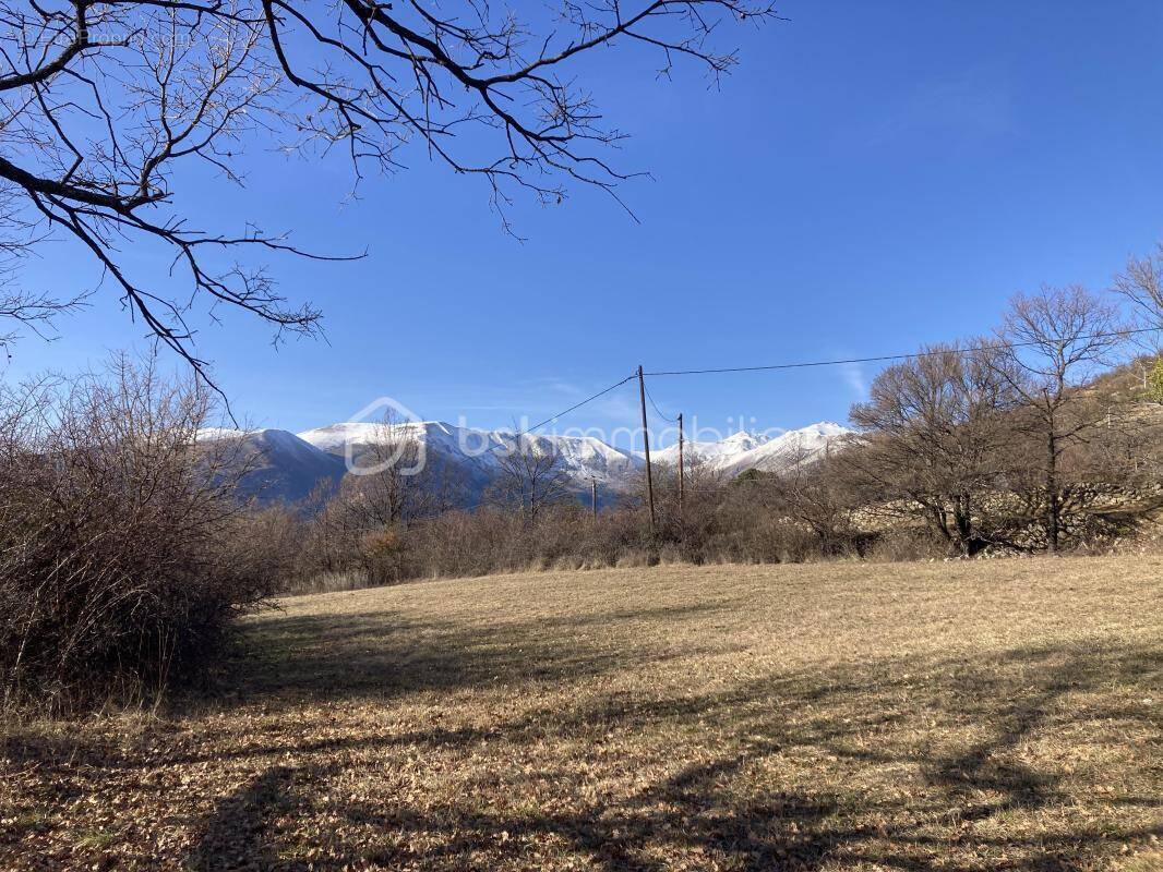 Terrain à SAINT-LEGER