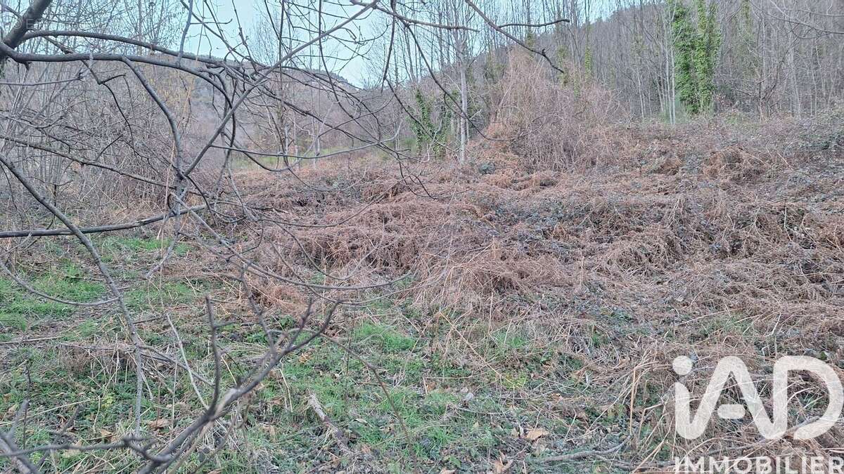 Photo 2 - Terrain à PRATS-DE-MOLLO-LA-PRESTE