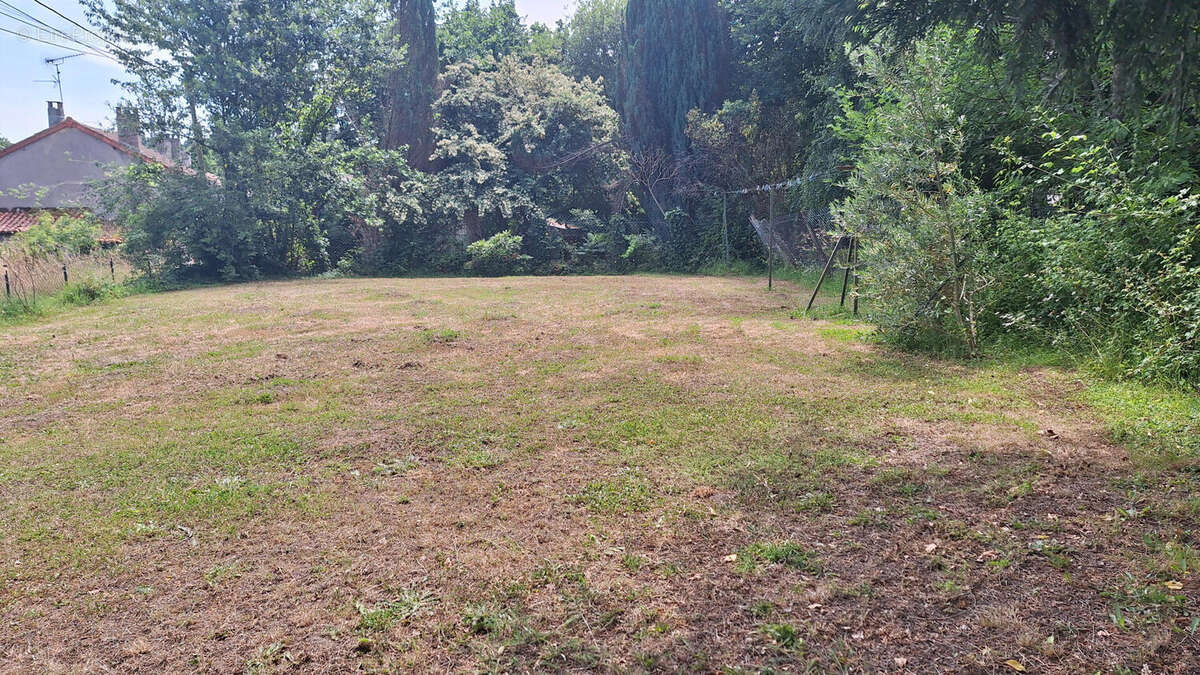 20250612_145252 - Maison à PIEGUT-PLUVIERS