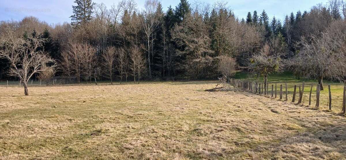 Maison à MONTESSAUX