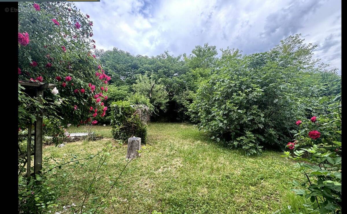 Terrain à CHAMPCUEIL