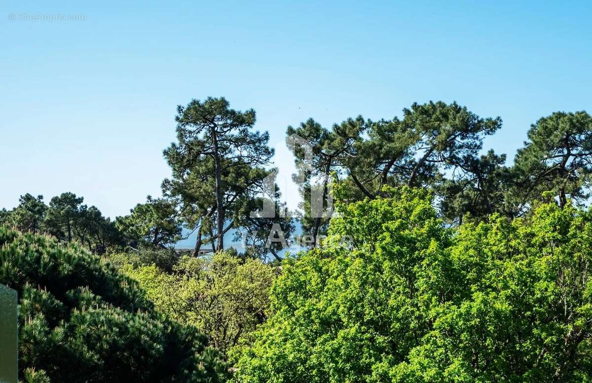 Appartement à VAUX-SUR-MER