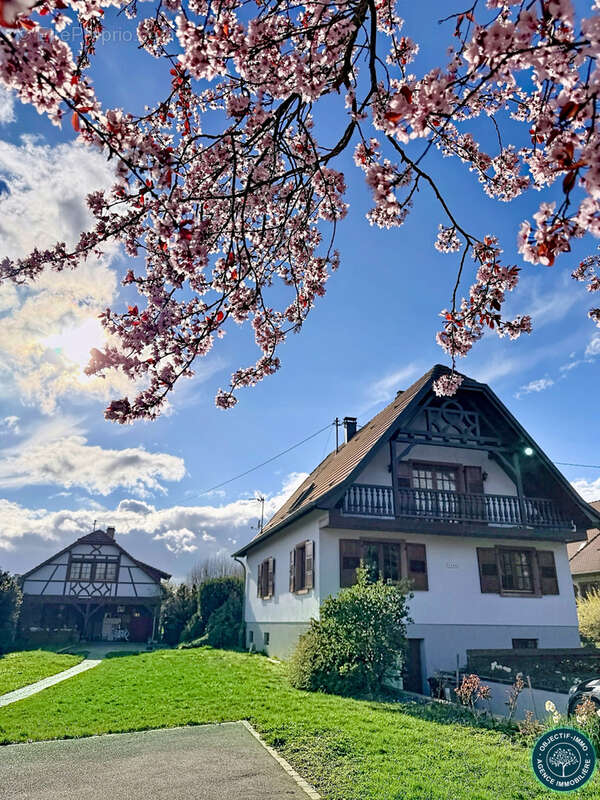 Maison à MELSHEIM