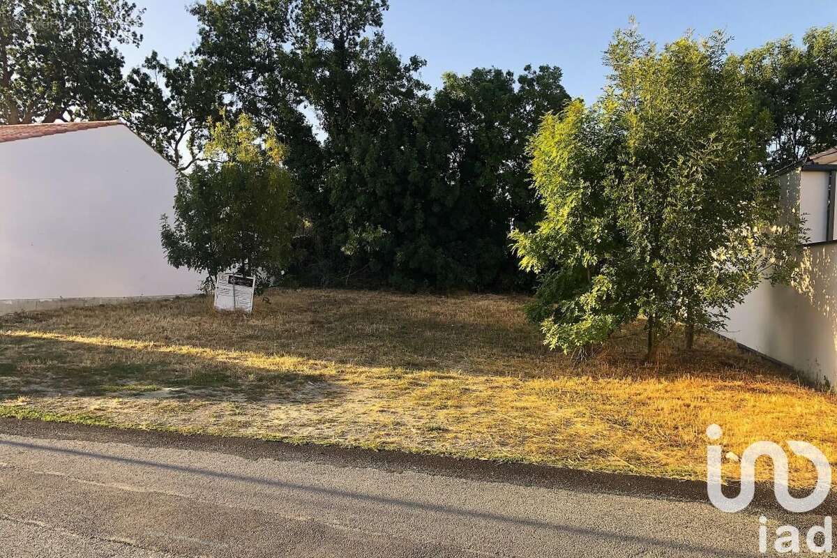 Photo 3 - Terrain à SALLES-SUR-MER