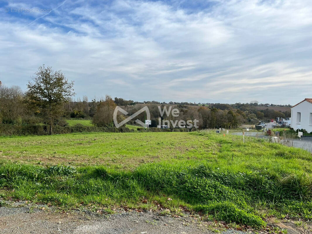 Terrain à MOUCHAMPS