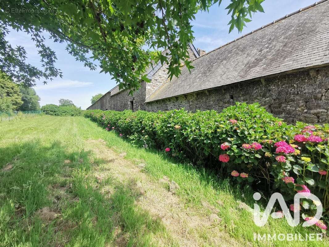 Photo 8 - Maison à QUEMPER-GUEZENNEC