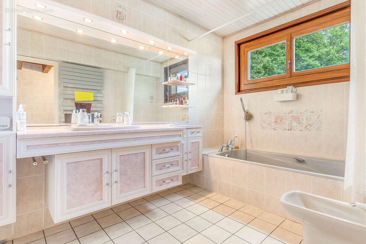 Maison à MONNETIER-MORNEX