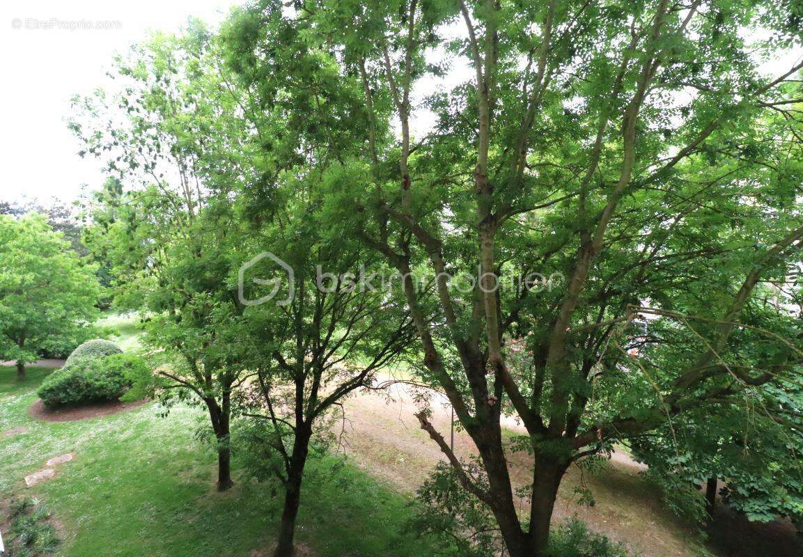 Appartement à RIS-ORANGIS