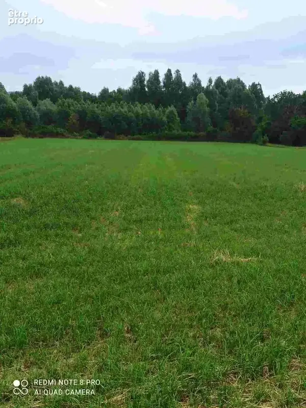 Terrain à REBERGUES