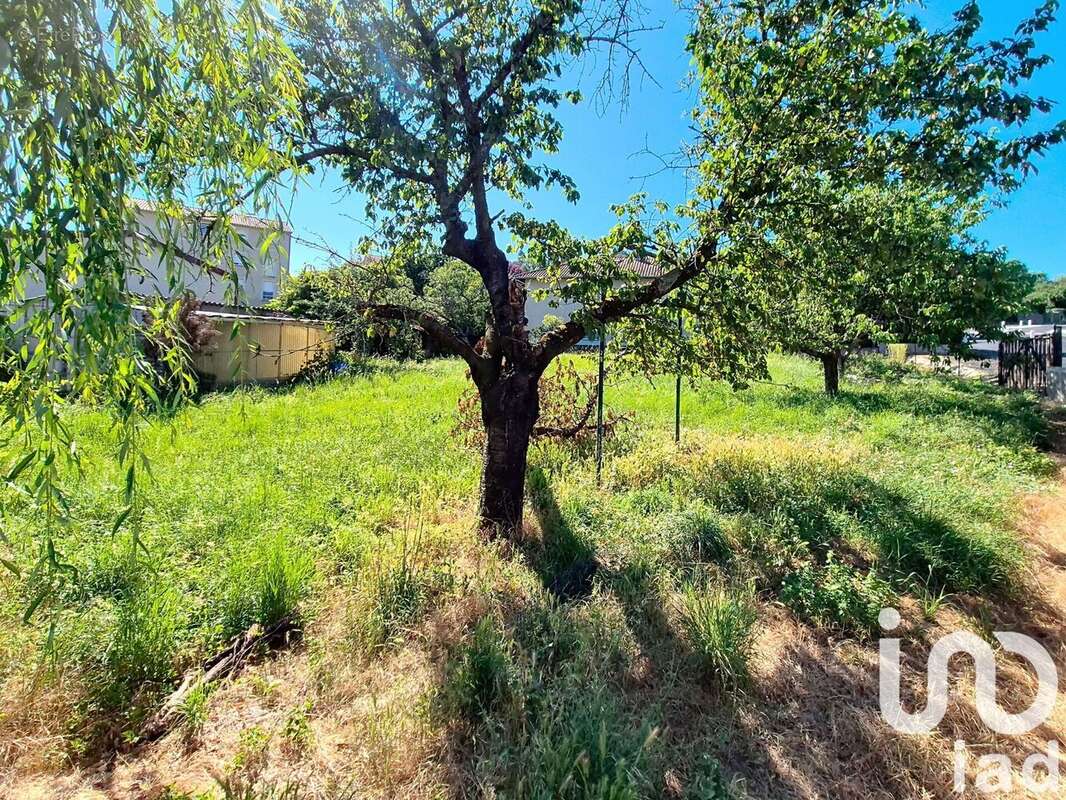 Photo 3 - Terrain à ESPALY-SAINT-MARCEL