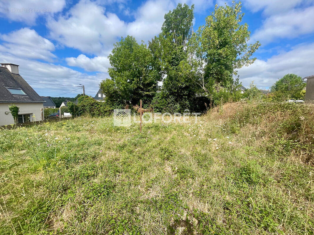 Terrain à MUZILLAC