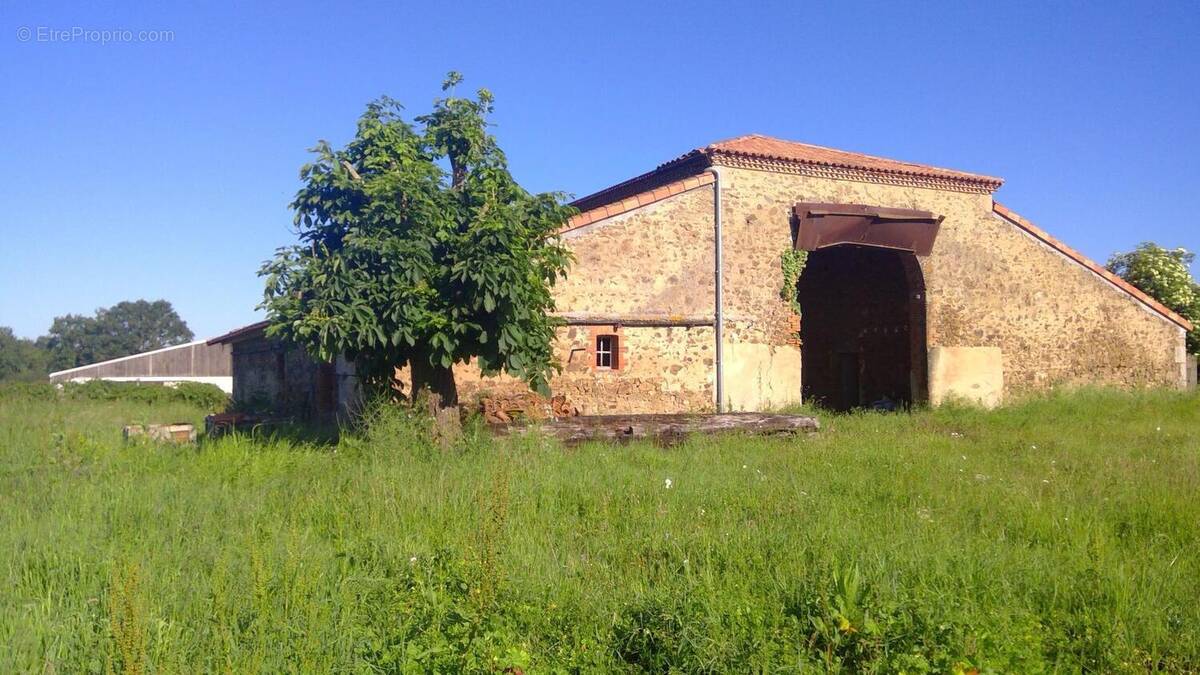 Photo 1 - Appartement à MAULEVRIER