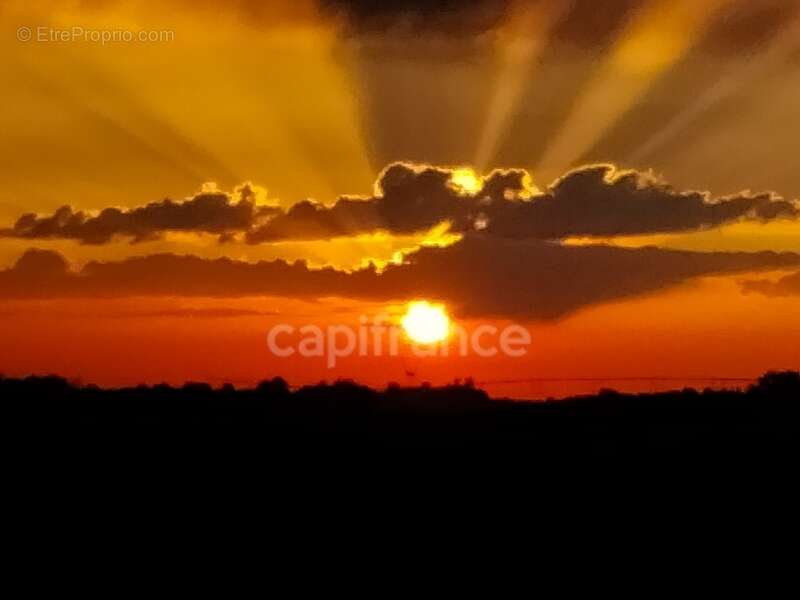 Maison à FOURQUES-SUR-GARONNE