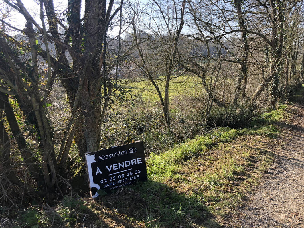 Terrain à LA ROCHE-SUR-YON